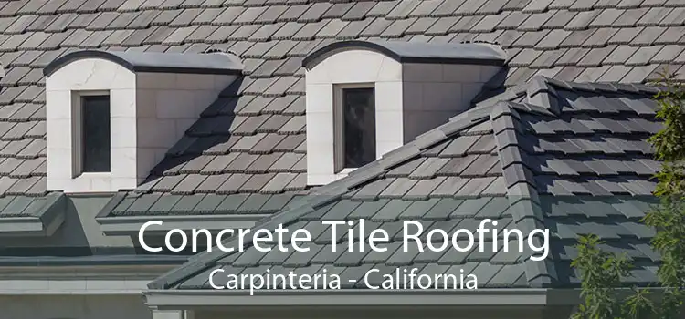 Concrete Tile Roofing Carpinteria - California