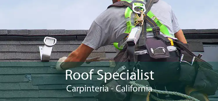 Roof Specialist Carpinteria - California