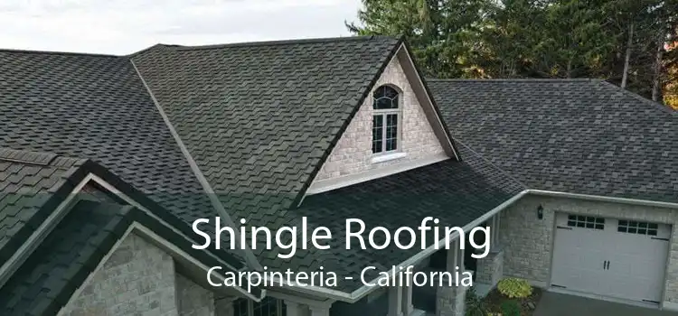 Shingle Roofing Carpinteria - California