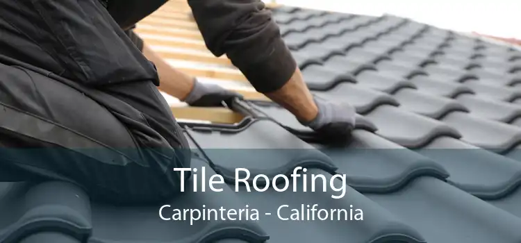 Tile Roofing Carpinteria - California